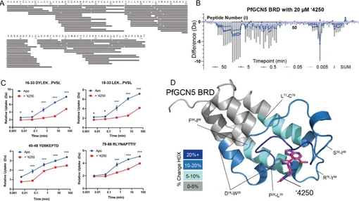 Residue-Level Determination of Small-Molecule–Protein Affinities by Hydrogen–Deuterium Exchange Mass Spectrometry