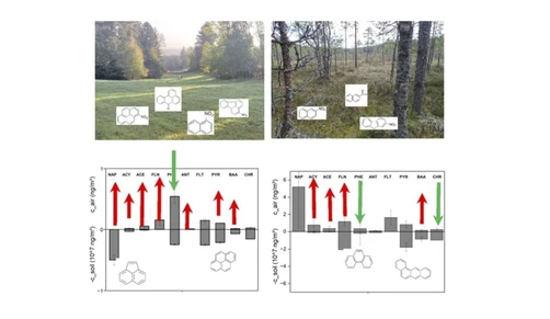 Polycyclic aromatic compounds in air – importance of re-volatilisation from soils