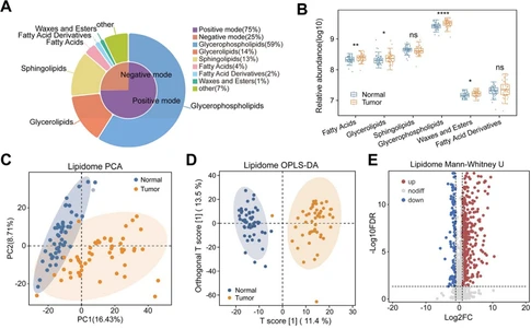 Integrated Multi-Omics Profiling of Thymoma Identifies Subtype-Specific Remodeling and Myasthenia Gravis-Associated Targets