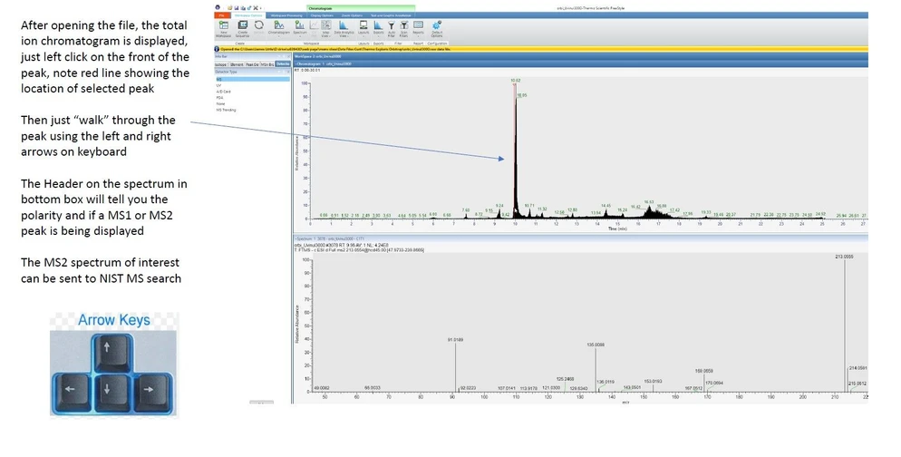 James Little: Windows Arrow Key Approach Using Total Ion Chromatogram, NOT Parsed into Separate Ones