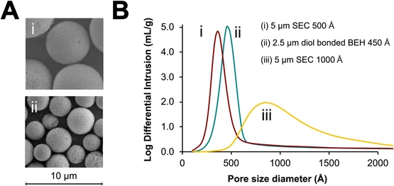 Fast and efficient size exclusion chromatography of adeno associated viral vectors with 2.5 micrometer particle low adsorption columns