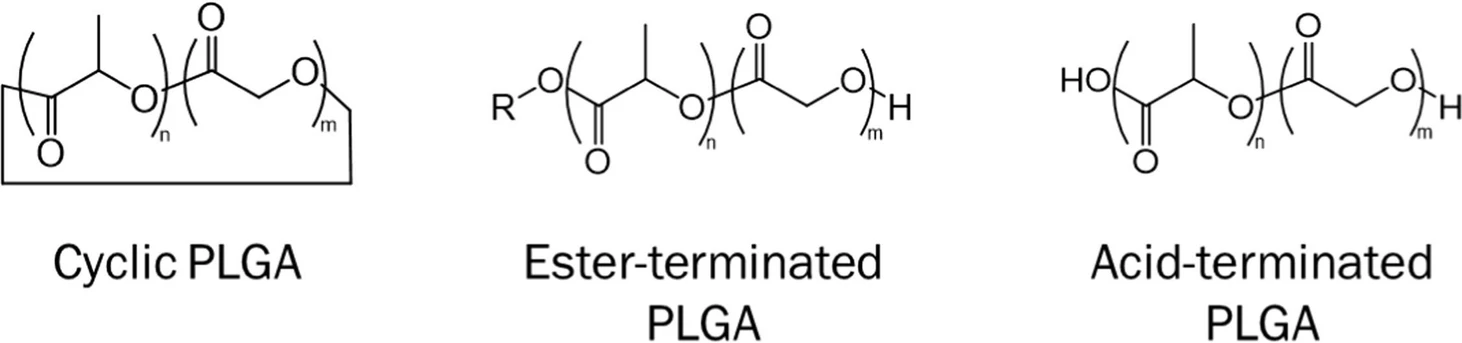 Journal of Chromatography A, Volume 1730, 2024, 465137: Fig. 1. Schematic representation of the structures of the studied poly(lactide-co-glycolide). The chemical structure of R shown in Figure 1 depends on the aliphatic alcohol used during polymerization.