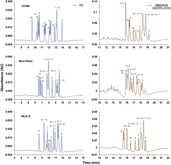 Journal of Chromatography A, Volume 1738, 6 December 2024, 465473: Fig. 1. Chromatographic separation of sixteen collagen model peptides using amide, bare silica and zwitterionic stationary phases. The mobile phases were water + 0.05 % TFA in A and ACN + 0.04 % TFA in B (blue) and 20 mM ammonium acetate, pH 6.8 in A and ACN in B (orange).