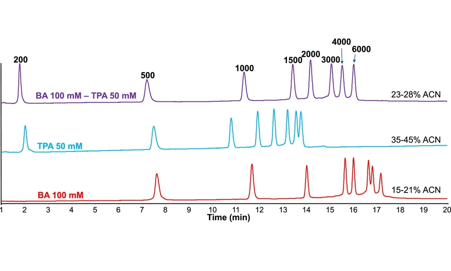 <p>Journal of Chromatography A, Volume 1740, 2025: <span id="cap0007">Fig. 7. Chromatograms obtained for the eight RNA from the RiboRuler High Range RNA Ladder during a 20 min linear optimized gradient run. Ion-pairing agents are added in both mobile phases. Peaks have been labelled with the corresponding number of nucleotides.</span></p>