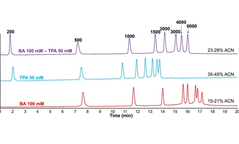Evaluation of ion pairing reversed-phase liquid chromatography for the separation of large RNA molecules