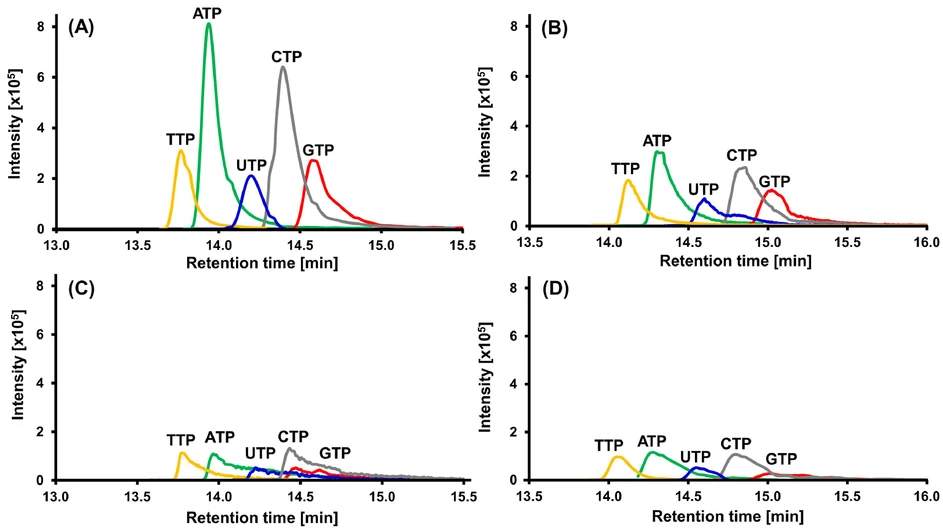 Journal of Chromatography A Volume 1740: Fig. 2. Effect of bioinert and conventional platforms on the sensitivity and peak shapes illustrated for adenosine triphosphate (ATP), cytidine triphosphate (CTP), guanosine triphosphate (GTP), thymidine triphosphate (TTP), and uridine triphosphate (UTP): (A) bioinert LC system – bioinert column, (B) conventional LC system – bioinert column, (C) bioinert LC system – conventional column, and (D) conventional LC system – conventional column.