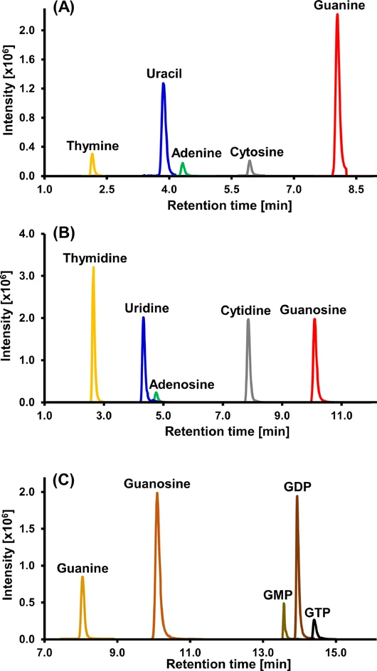 Journal of Chromatography A Volume 1740: Fig. 5. Reconstructed ion chromatograms of metabolites showing the retention behavior of: (A) purine and pyrimidine bases, (B) nucleosides, and (C) guanine and related conjugates.