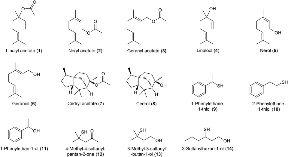 Journal of Chromatography A, Volume 1741, 25 January 2025, 465624: Fig. 1. Test compounds selected for assessing artifact formation during GC injection.