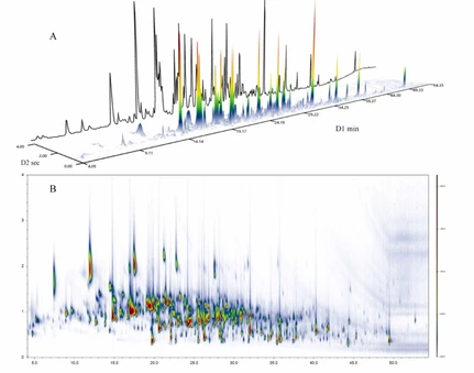 Volatile compound fingerprinting for traditional sesame oil authentication using GC-MS with GC×GC-MS-assisted identification