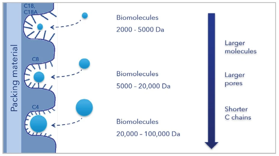 KNAUER: Eurosil Bioselect - Phases and recommended sizes of molecules