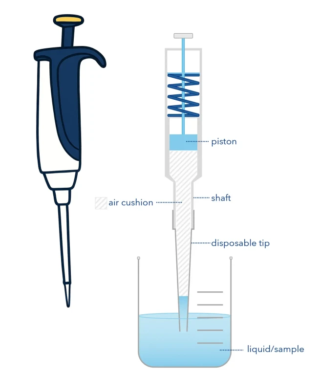 KNAUER: Figure 1 - Air-displacement system. An air cushion separates the liquid from the piston