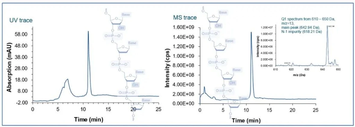 KNAUER: Figure 1 - Separation Example of Oligonucleotides.