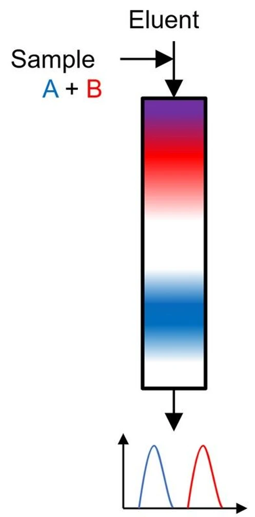 KNAUER: Figure 1: Single column separation; A – fast eluting component, B – retaining component