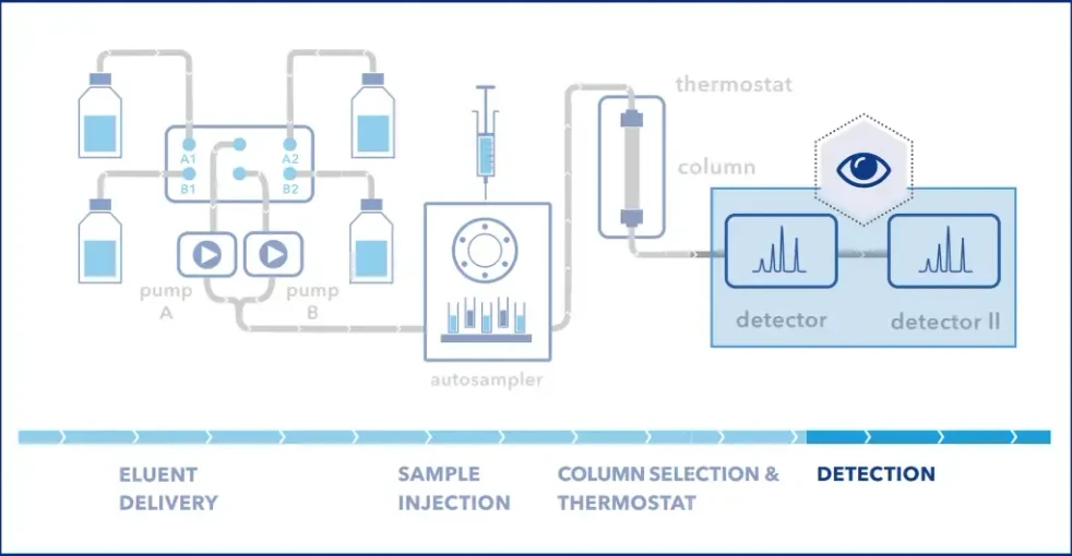 KNAUER: Figure 1 - Typical HPLC system configuration with two detectors.