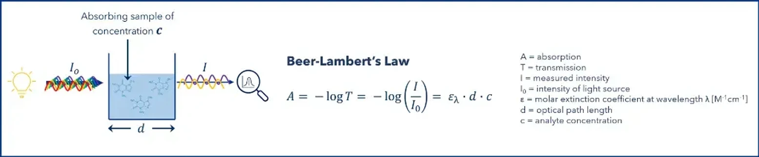 KNAUER: Figure 1: Principle of UV detection and absorbance according to the Beer-Lambert