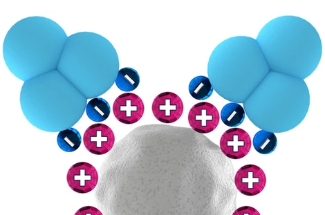 KNAUER Sepapure® FPLC Columns for Ion-Exchange Chromatography