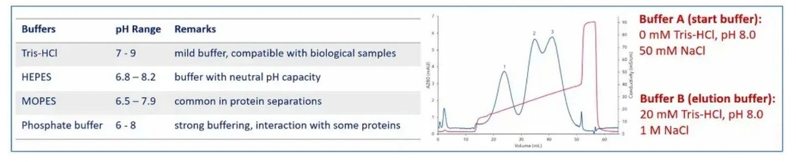 KNAUER: Oligos Made Easy - Part 2 AEX: Figure 4 AEX buffer selection and gradient strategy (chromatogram with red buffer gradient curve).