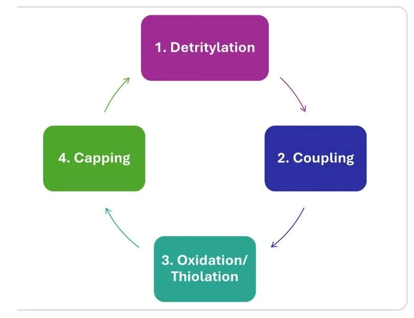 KNAUER: Solid-phase synthesis