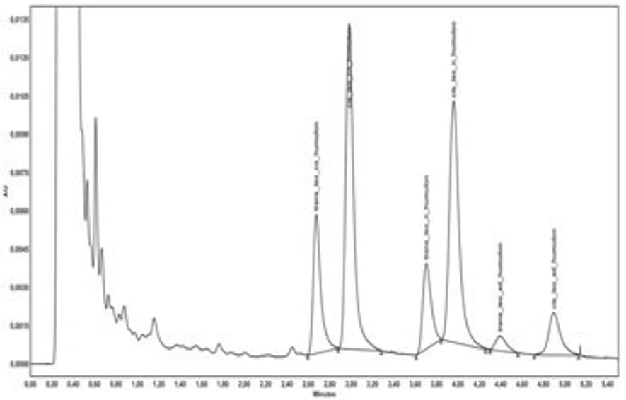 Obr. 1 UHPLC chromatogram reálného vzorku piva