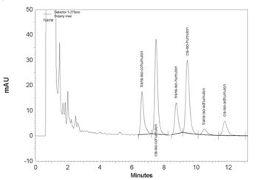 Obr. 2 HPLC chromatogram reálného vzorku piva