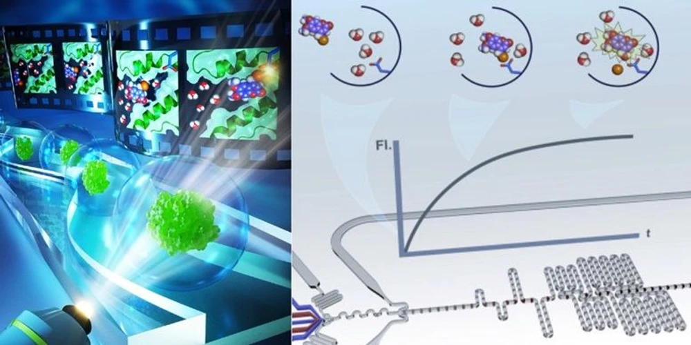 Masarykova Univerzita:Grafické ztvárnění mikrofluidní platformy.