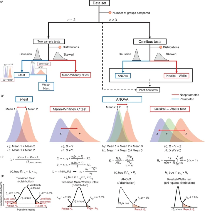 Nat Commun 16, 8714 (2025): Fig. 3 - Statistical tests commonly used in lipidomics and metabolomics.