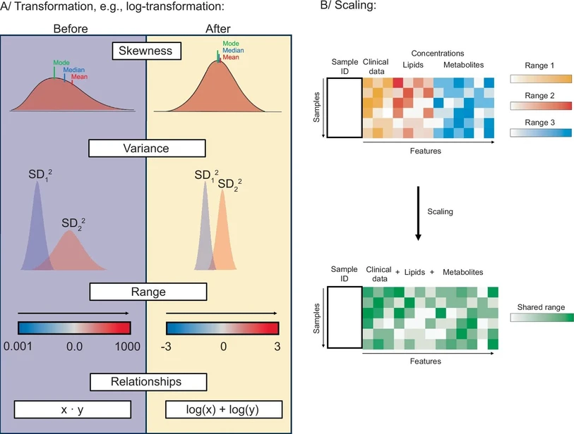 <p>Nat Commun 16, 8714 (2025): Fig. 1: Data transformation and scaling.</p>