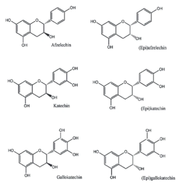 Obr. 1 Monomerní jednotky proanthokyanidinů (Predy et al., 2009)