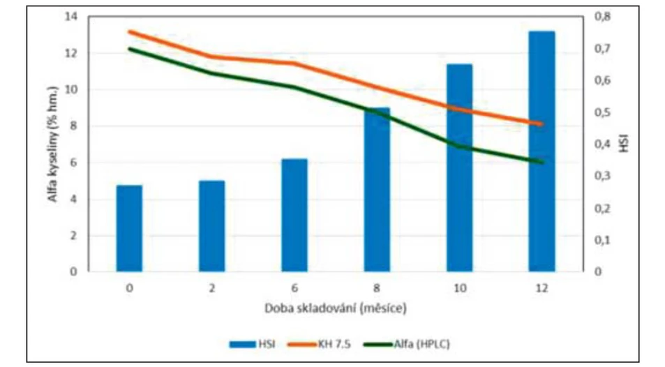 Obr.  3  Stárnutí  odrůdy  Rubín  volně  na  vzduchu  (hlávky,  normální teplota, bez přístupu světla)