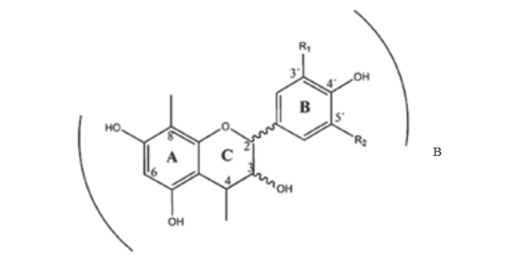 Obr. 3 Základní struktura proanthokyanidinů R1, R2 = H, propelar-gonidiny; R1 = H, R2 = OH, prokyanidiny; R1, R2 = OH, prodelfinidiny (Santos-Buelga et al., 2000)