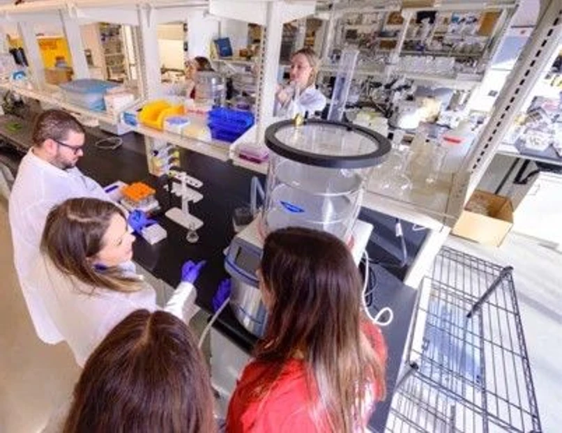 Organomation: How American University's Evaporator Upgrade Benefits Their Ecogeochemistry Lab