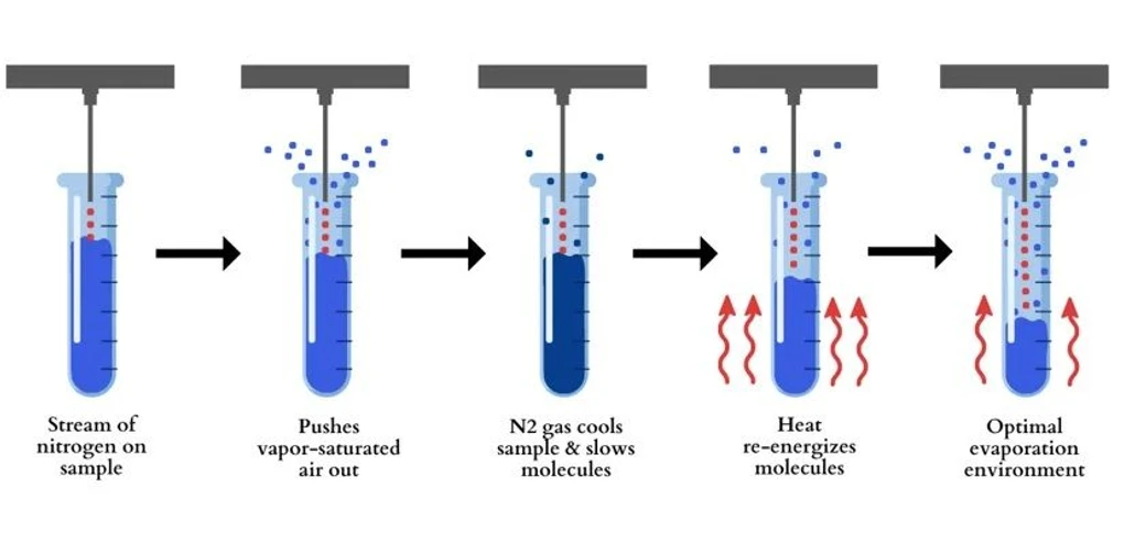 Organomation: What is Nitrogen Blowdown Evaporation?