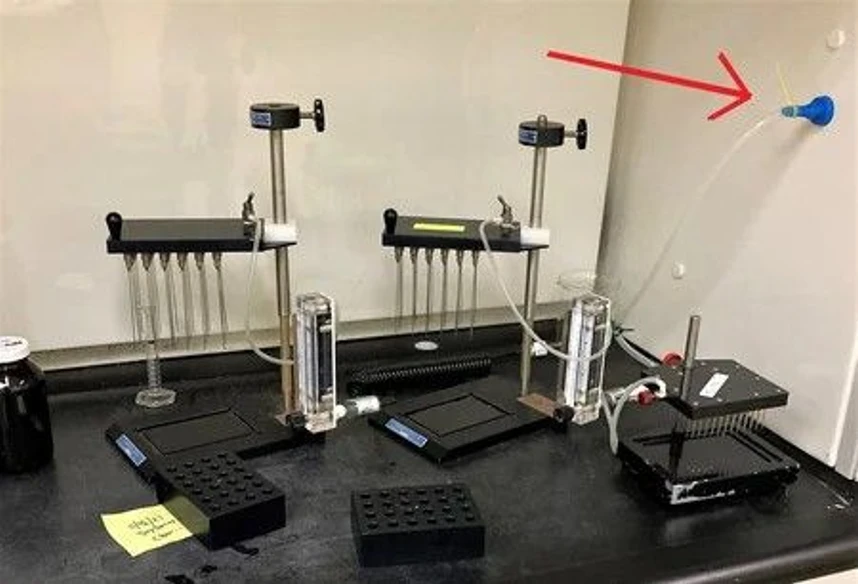 Organomation: Built-In Nitrogen Source