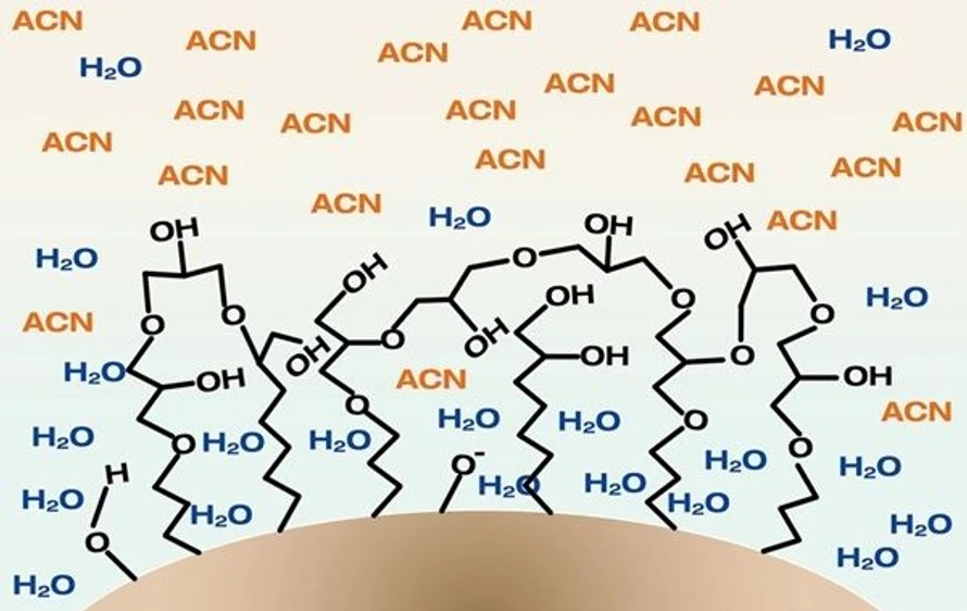 <p><strong>Phenomenex:</strong> Úspěšné technické řešení analytických metod pomocí HILIC jako alternativního retenčního mechanismu</p>
