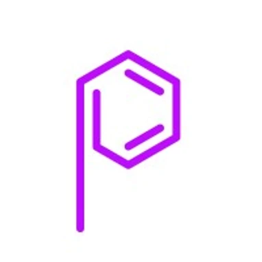 Plasmion