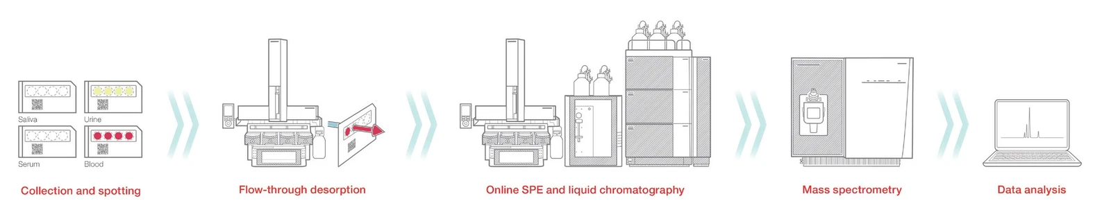 Pragolab: Obr. 2: Automatická analýza ze suché krevní skvrny pomocí systému Transcend DSX-1 v kombinaci s MS TSQ ALTIS