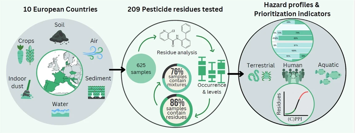 RECETOX: Fig 2 - Pesticide pathway.jpg