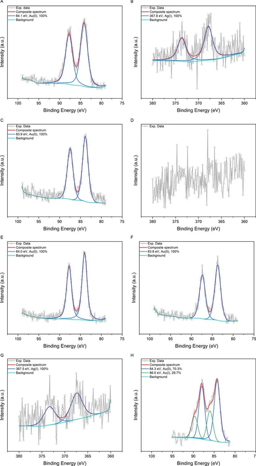 R. Soc. Open Sci. 12: 241385: Figure 2. XPS signals in Au and Ag characteristic regions recorded for our representative metallic samples: (A) Au 4f region of GSNC 0 h RT, (B) Ag 3d region of GSNC 0 h RT, (C) Au 4f region of GSNC 1.25 h RT, (D) Ag 3d region of GSNC 1.25 h RT, (E) Au 4f region of GSNC 2.5 h RT, (F) Au 4f region of GSNC 2.5 h 37°C, (G) Ag 3d region of GSNC 37°C, and (H) Au 4f region of GSNC 2.5 h 50°C.