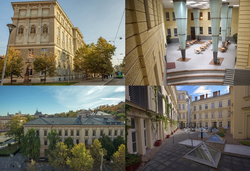SSJMM: Faculty of Social Studies, Masaryk University in Brno