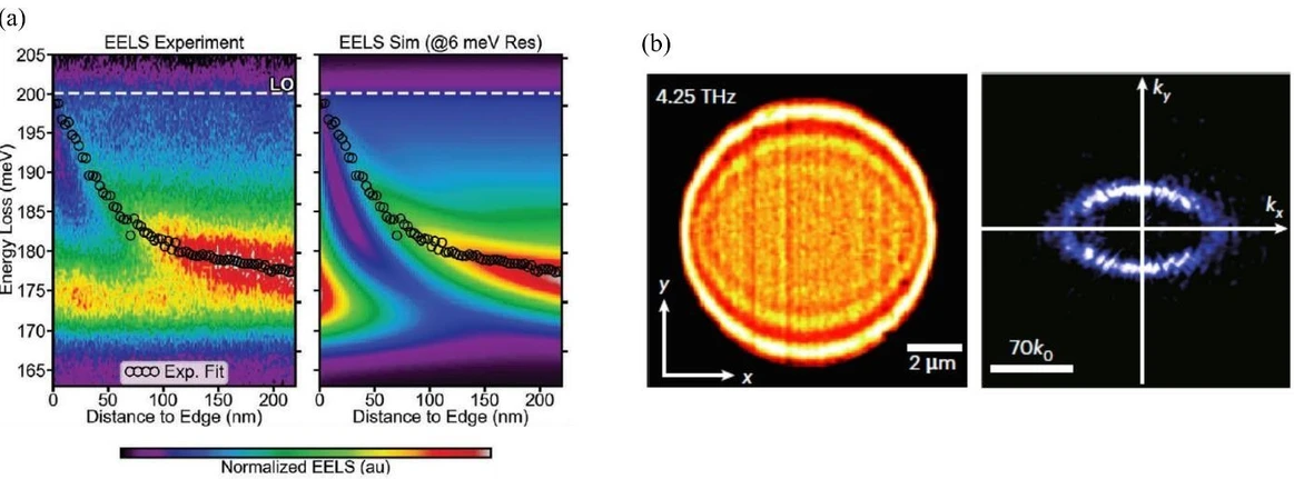<p><strong>SSJMM /&nbsp;Konečná: </strong>Obr. 1. (a) Srovnání experimentálních (vlevo) a teoreticky modelovaných (vpravo) spekter energiových ztrát elektronů v závislosti na vzdálenosti elektronového svazku od hrany tenké vrstvy hBN. Pomocí modelu lze určit, že ve vrstvě jsou excitovány fononové polaritony a vyextrahovat disperzní závislost těchto excitací. Převzato z první soutěžní práce. (b) Disk Ag<sub>2</sub>Te zobrazený pomocí světla s frekvencí 4.25 THz rastrovacím optickým mikroskopem v blízkém poli (vlevo) a fourierovská transformace obrazu (vpravo), kde je patrná excitace anisotropně se propagujících plasmonových polaritonů. Převzato z třetí soutěžní práce.</p>