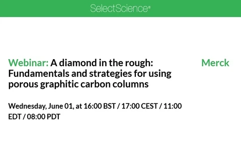 A diamond in the rough: Fundamentals and strategies for using porous graphitic carbon columns