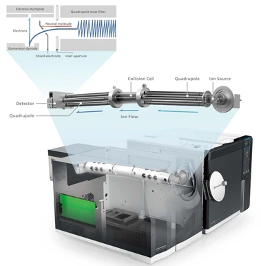Shimadzu GCMS-TQ8040 RX