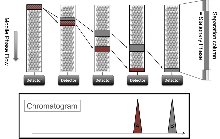 Shimadzu/Gesa Schad: Shimadzu HPLC Blog: Začínáme - Obrázek 2 Schematické znázornění separace dvou sloučenin pomocí kapalinové chromatografie