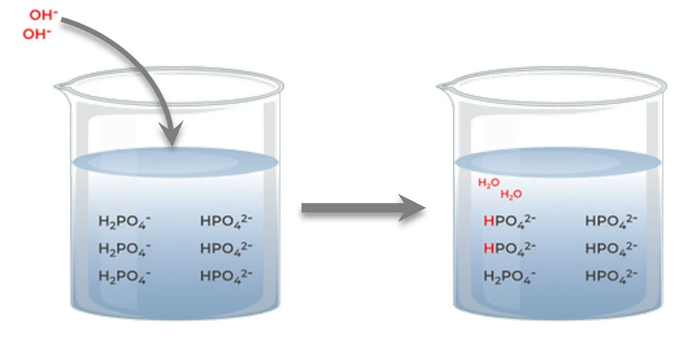 Shimadzu HPLC Blog: Obrázek 1 - Pufr sestávající z dihydrogenfosforečnanu (slabá kyselina) a hydrogenfosforečnanu (slabá zásada)