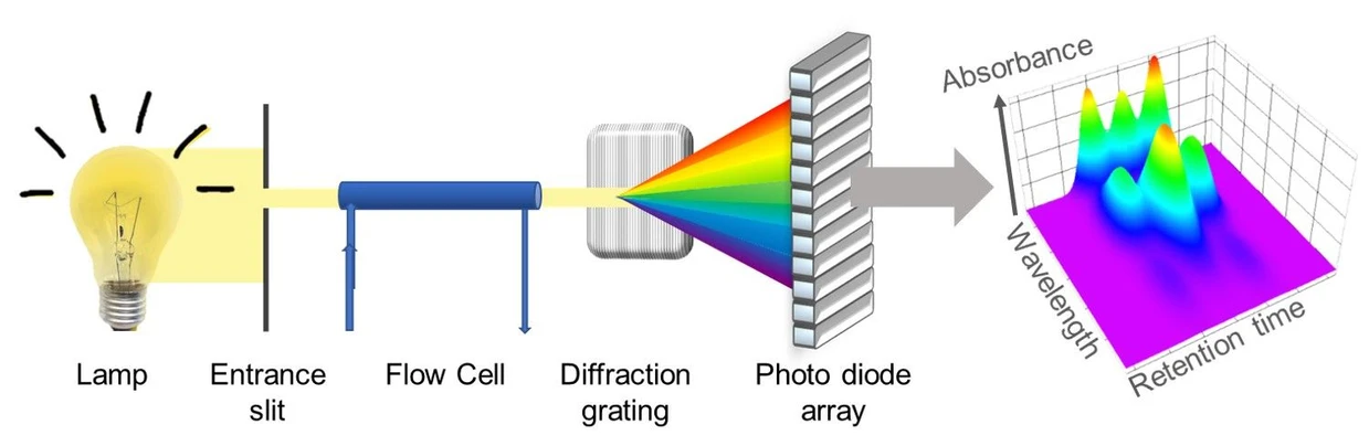 Shimadzu HPLC Blog: Obrázek 2 - Schéma detektoru s fotodiodovým polem