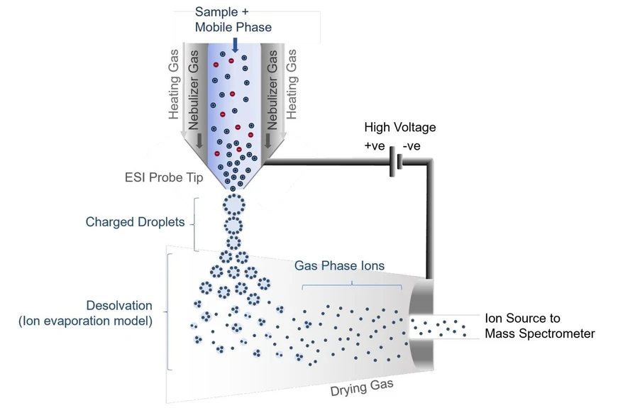Shimadzu HPLC Blog: Obrázek 3 - Schéma procesů ionizace a desolvatace v pozitivním (+) režimu ESI.