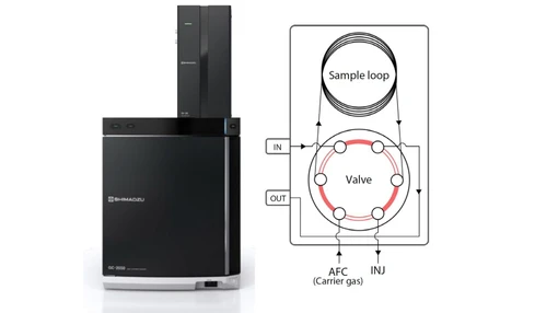Analýza plynů pomocí plynového chromatografu Brevis GC-2050 s autosamplerem pro plyny GI-30 a detektory TCD a BID