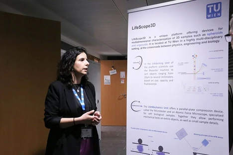 TU Wien launches a research platform for 3D testing of bio-samples