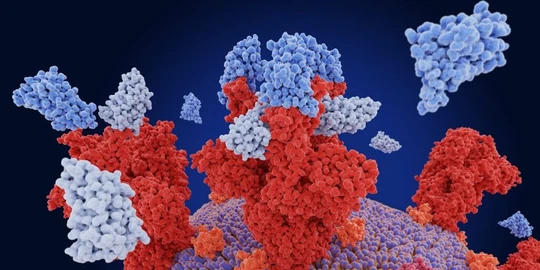 Imaging Large Multiprotein Complexes Using Native Nano DESI Mass Spectrometry