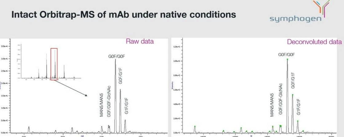 Thermo Fisher Scientific: TOF vs. Orbitrap for Intact Protein Structural Insights.